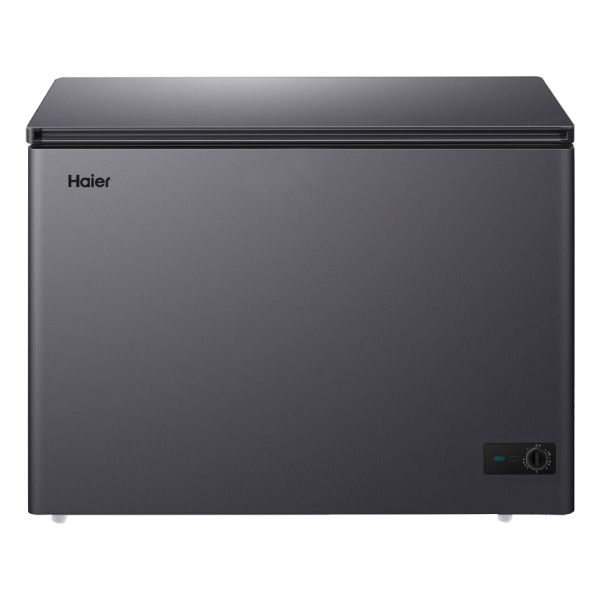 Chest Freezer 301L
